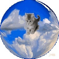 Bulle de savon.. .  .   .