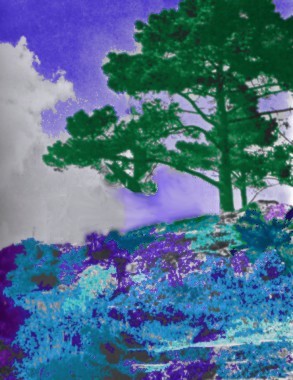 La colline bleue.. .  .   .
