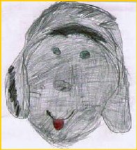 Les puces sans chien.. .  .   .