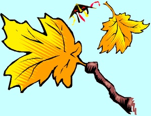 Le vent