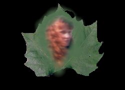 Ma feuille
