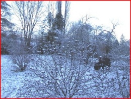 Premi&egrave;re neige