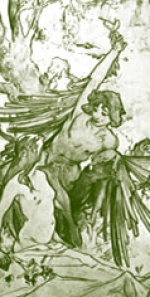  Sillage 