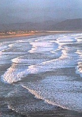 Je porte en moi la mer